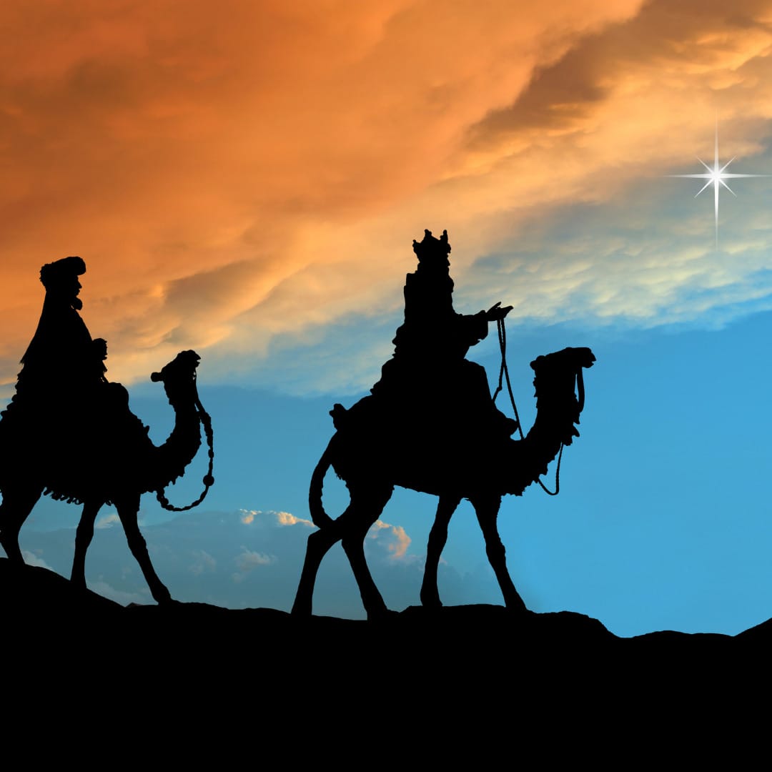 “We saw his star in the East, and have come to worship him.” (Mt: 2:1–2)  